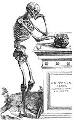 Vesalio, allegoria sulla vanitas